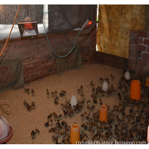 Portable ceiling indoor infrared gas heater for poultry